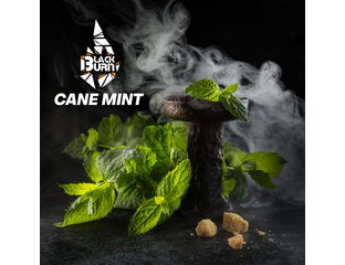 Black Burn 25g Cane Mint (Тросниковая Мята)