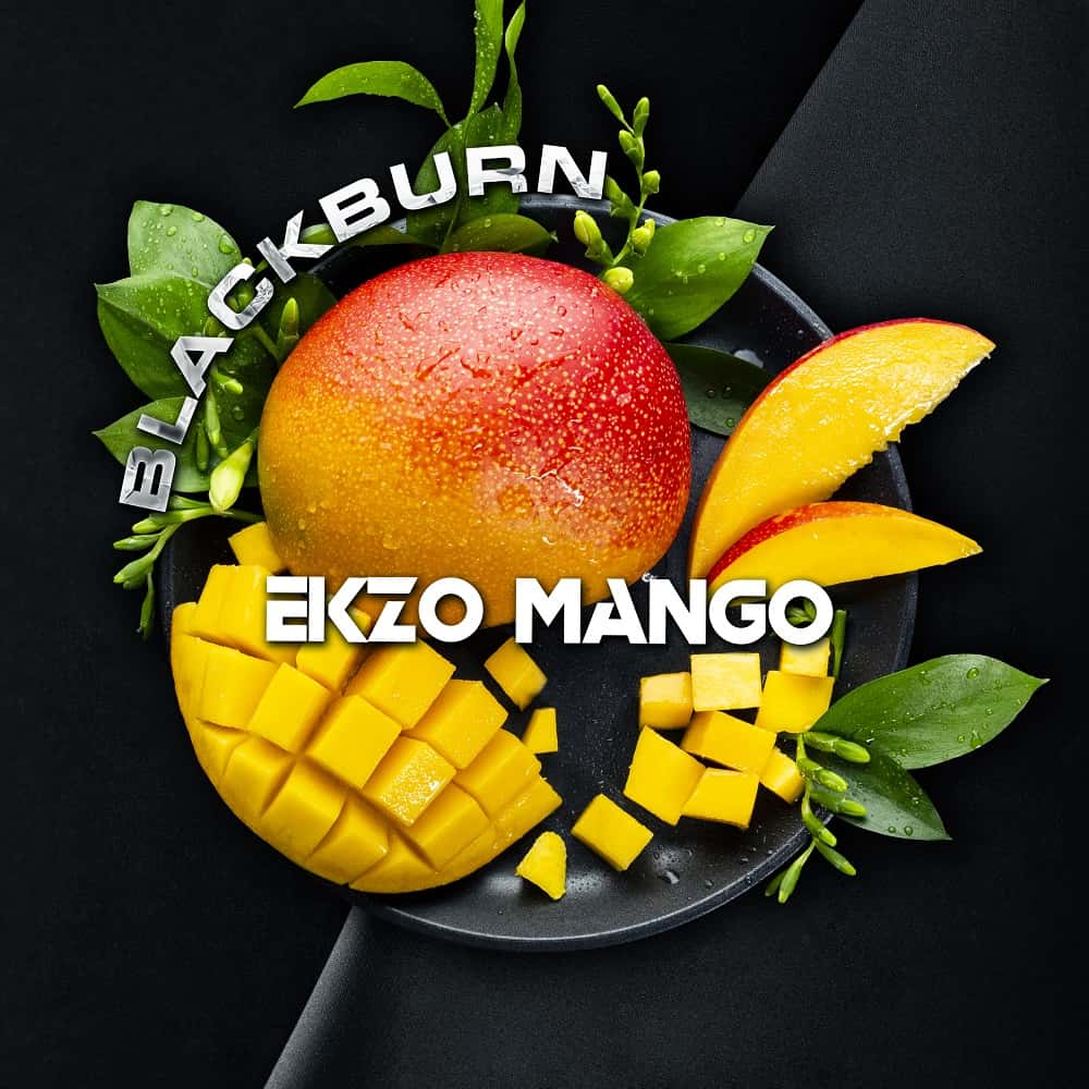 Black Burn 25g Ekzo Mango (Сочное Манго)