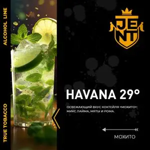 JENT Alcohol 200 g Махито (Havana 29)